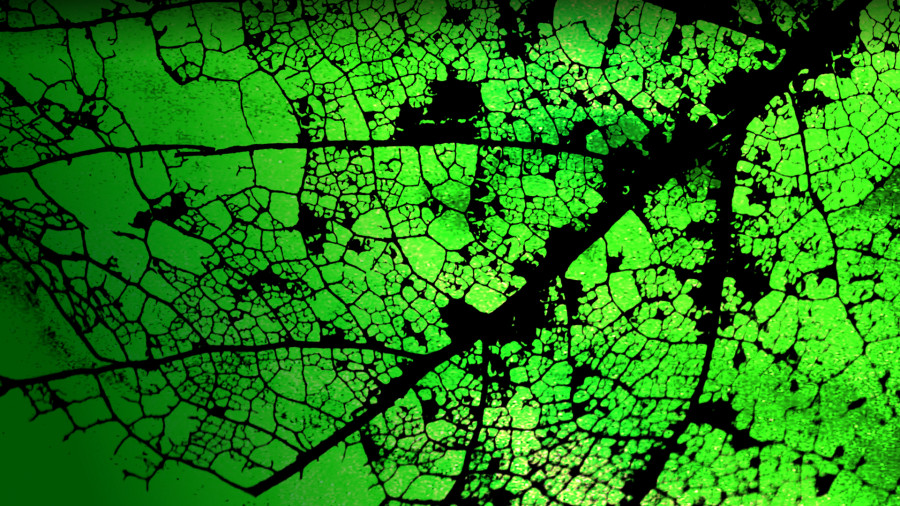 Das Bild zeigt das neue Motiv der euro-scene 2025